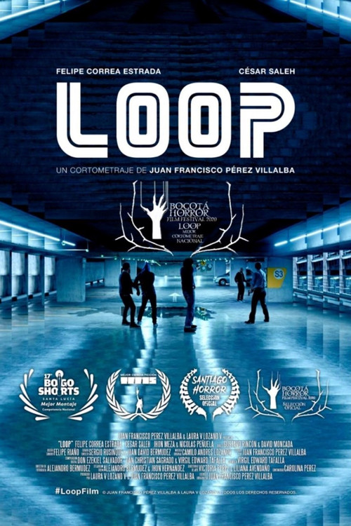 Movie poster for Loop (2019)