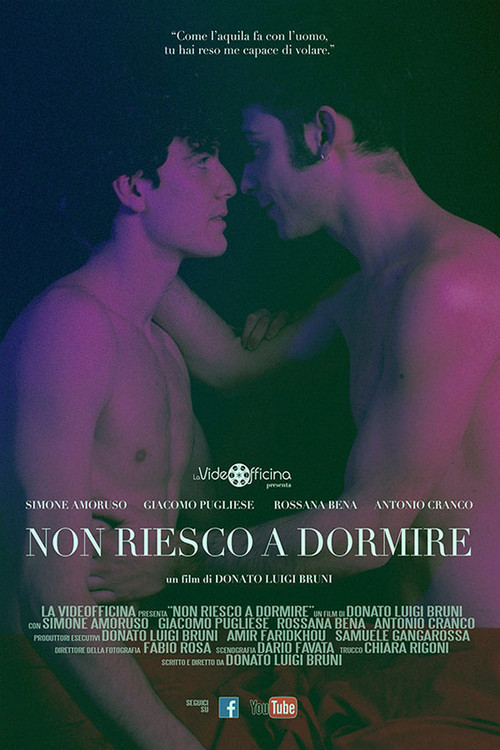 Movie poster for I Cannot Sleep (2016)