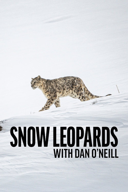 Series poster for Snow Leopards with Dan O'Neill (2025)