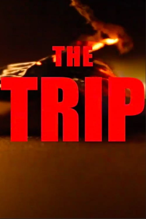 Movie poster for The Trip (2020)