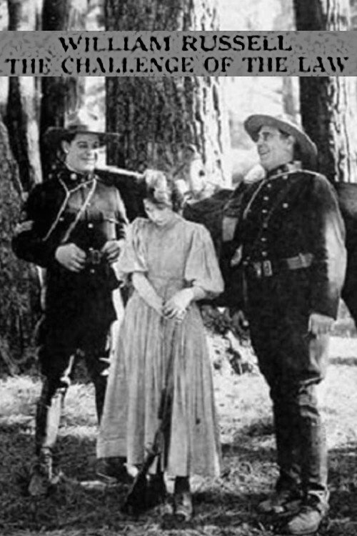 Movie poster for The Challenge of the Law (1920)