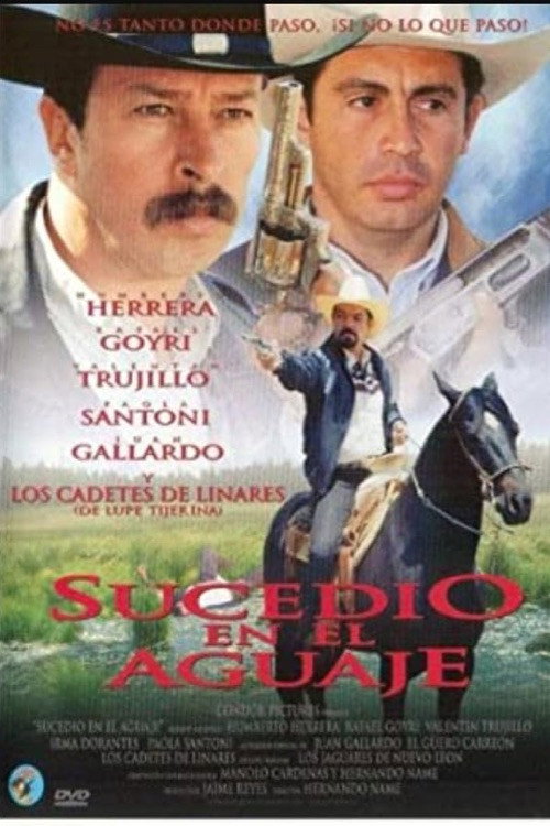 Movie poster for Sucedió en el aguaje (1998)