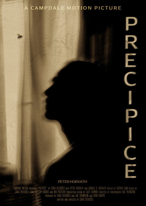 Movie poster for Precipice (2023)