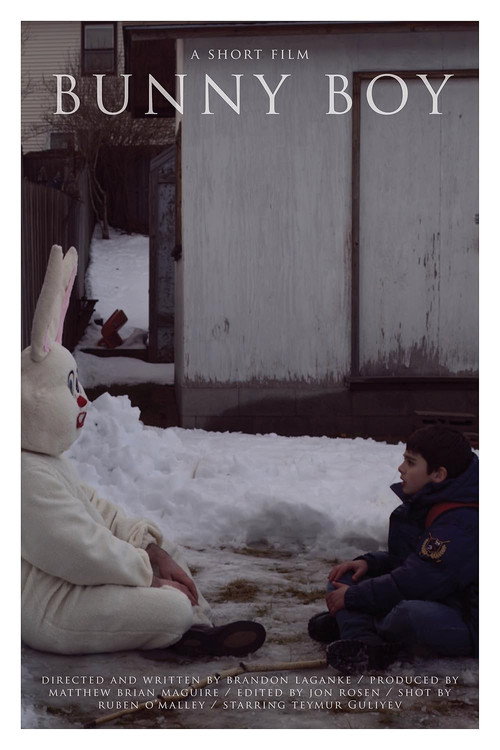 Movie poster for Bunny Boy (2010)