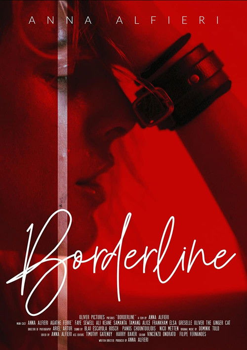 Movie poster for Borderline (2021)