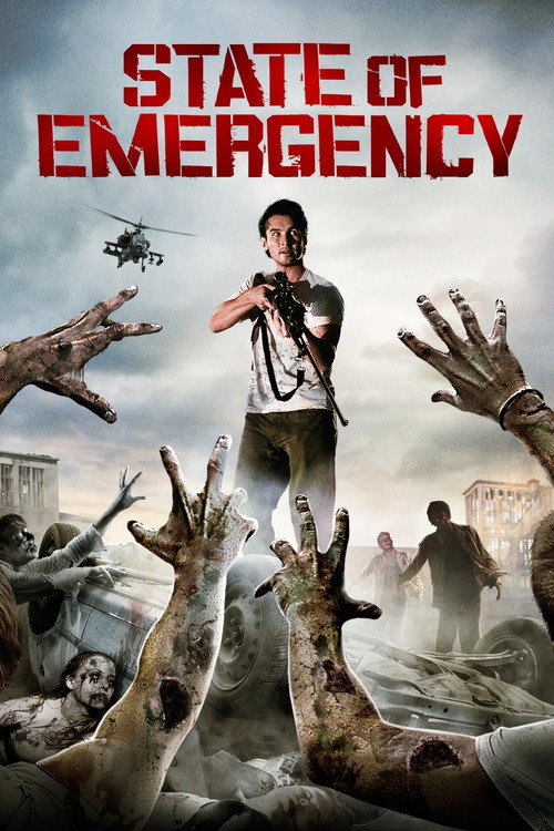 Movie poster for State of Emergency (2012)