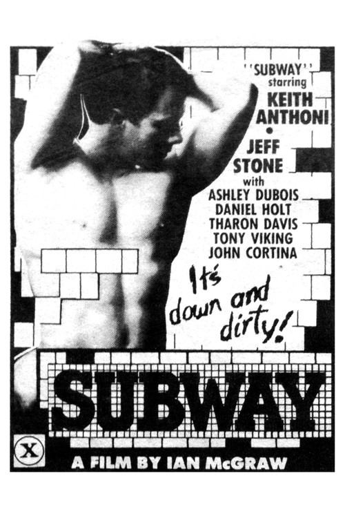 Movie poster for Subway (1983)