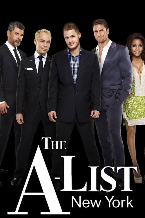 Series poster for The A-List: New York (2010)