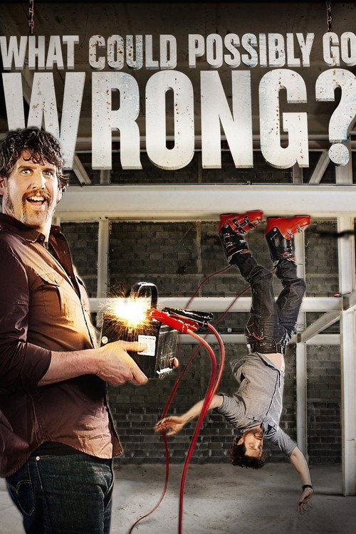 Series poster for What Could Possibly Go Wrong? (2015)