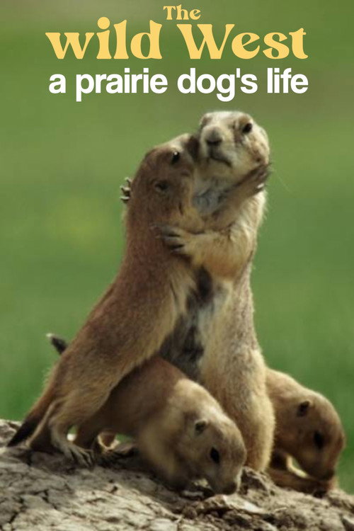 Movie poster for A Prairie Dog's Life (2022)