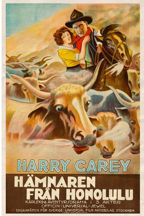 Movie poster for The Outlaw and the Lady (1917)