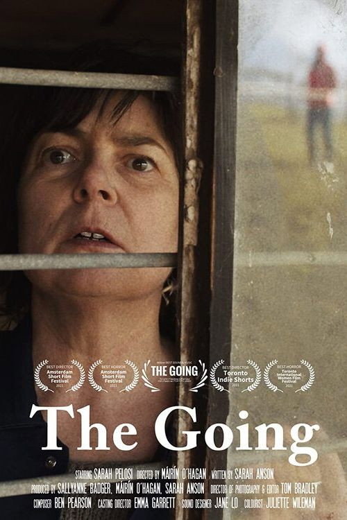 Movie poster for The Going (2021)