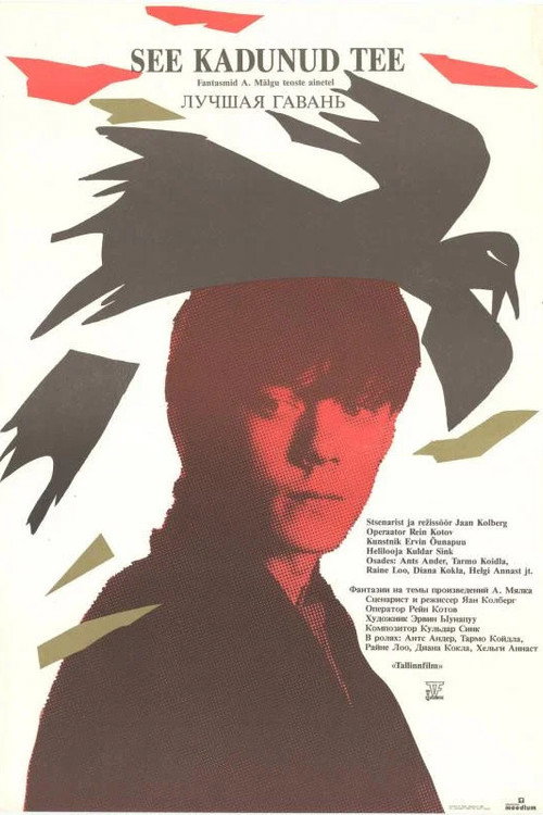 Movie poster for That Lost Road (1991)