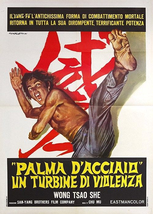 Movie poster for The Invincible Iron Palm (1971)