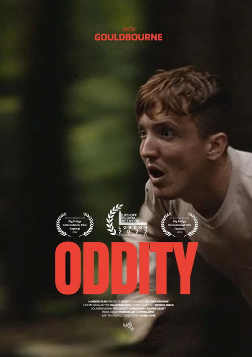 Movie poster for Oddity (2022)