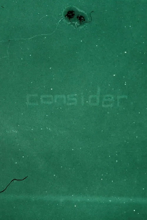 Movie poster for consider (2024)