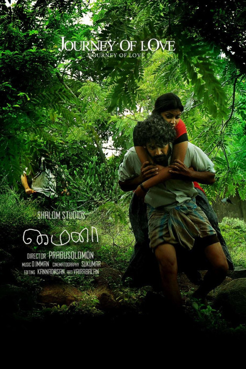 Movie poster for Mynaa (2010)