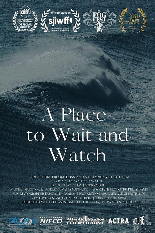Movie poster for A Place to Wait and Watch (2025)