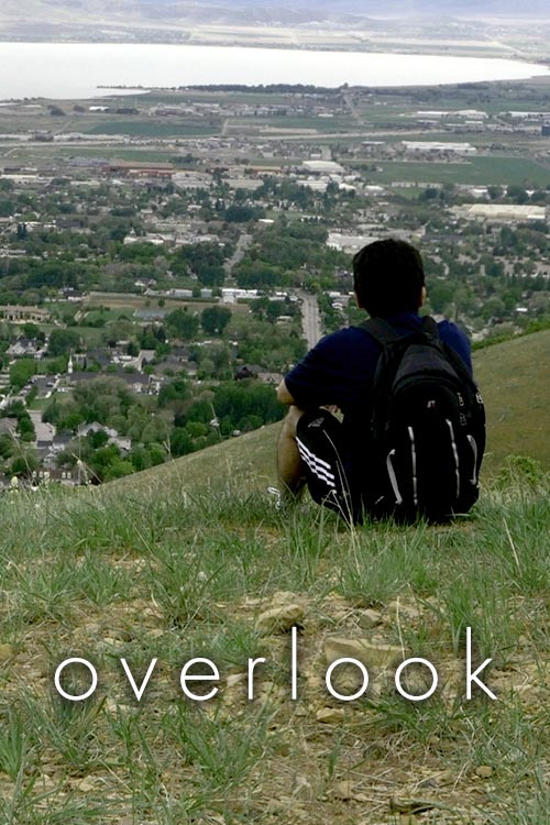 Movie poster for Overlook (2019)