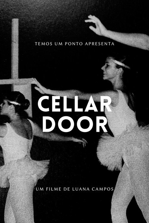 Movie poster for Cellar Door (2022)