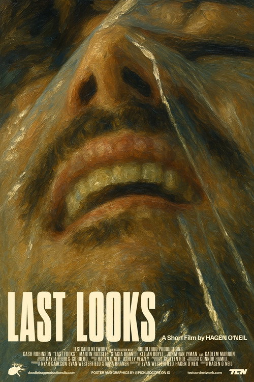 Movie poster for LAST LOOKS (2024)