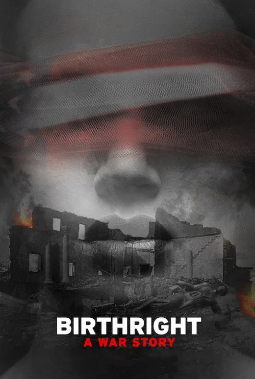 Movie poster for Birthright: A War Story (2017)