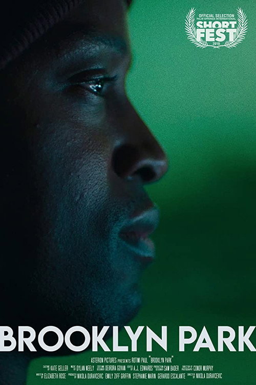 Movie poster for Brooklyn Park (2019)
