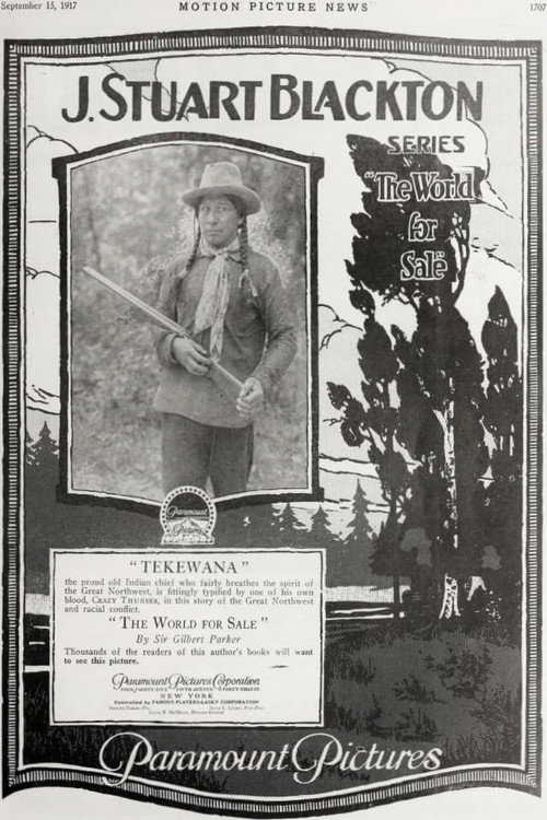 Movie poster for The World for Sale (1918)