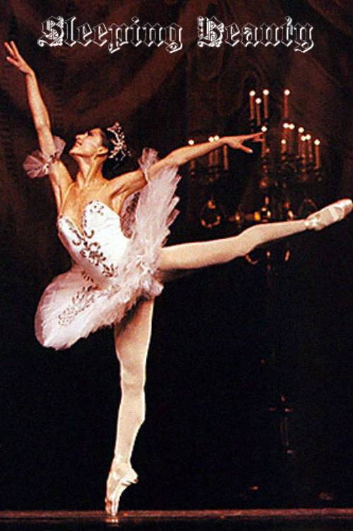 Movie poster for Sleeping Beauty (1991)