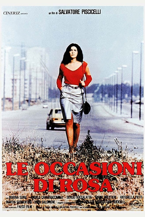 Movie poster for The Opportunities of Rosa (1981)