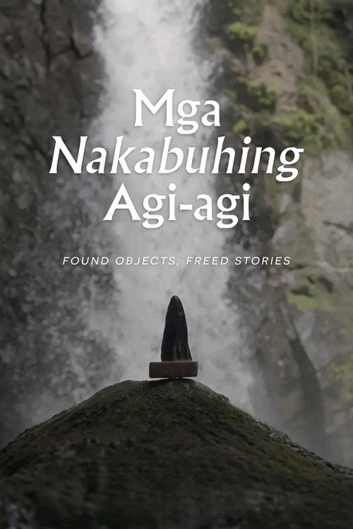 Movie poster for Found Objects, Freed Stories (2025)