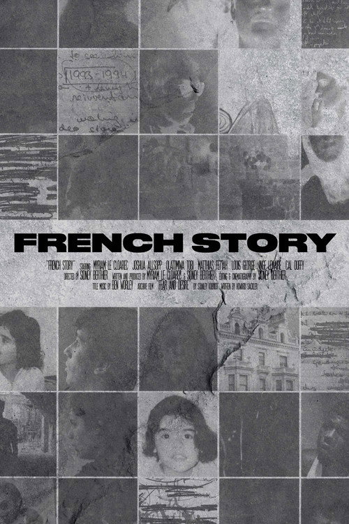 Movie poster for French Story