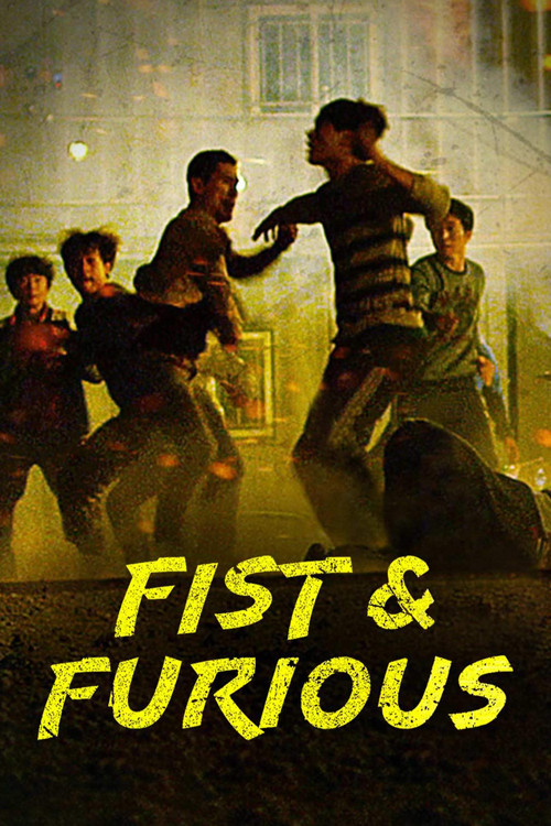 Movie poster for Fist & Furious (2019)