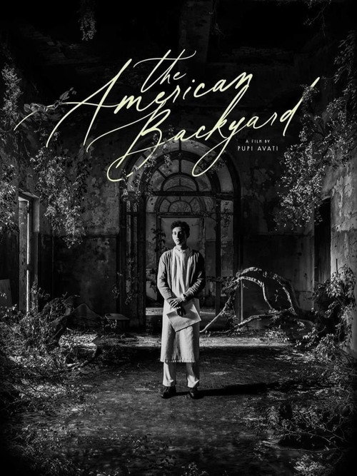 Movie poster for The American Backyard (2025)
