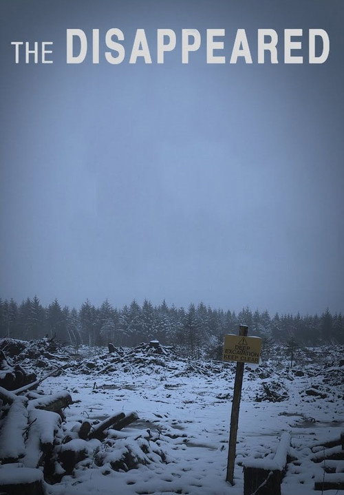 Movie poster for The Disappeared (2013)