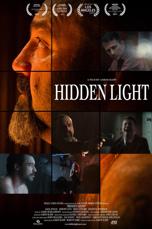 Movie poster for Hidden Light (2018)
