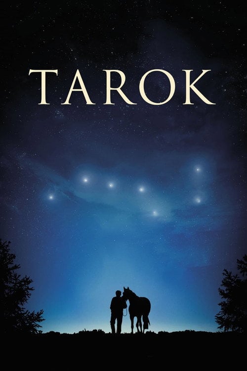 Movie poster for Tarok (2013)