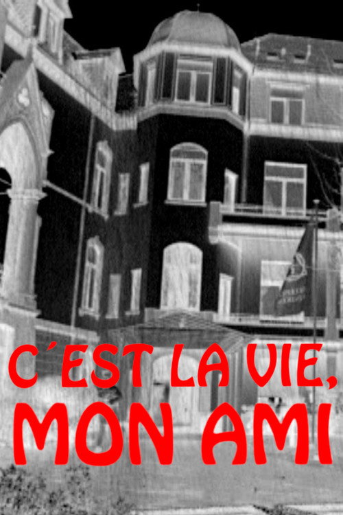Movie poster for C'est la vie, mon ami (2001)