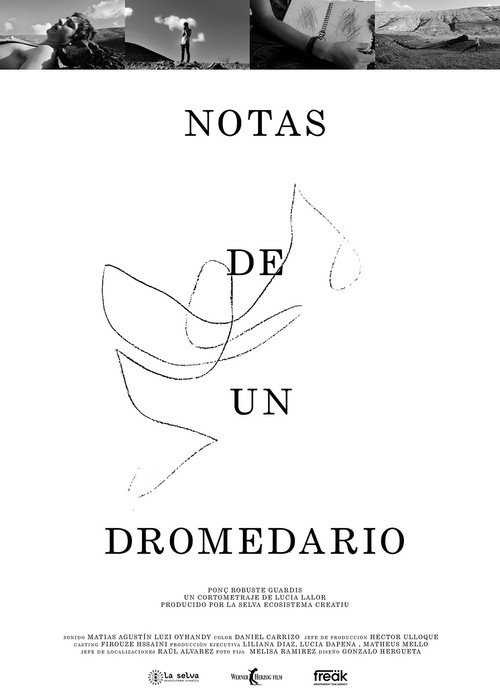 Movie poster for Notes from a Dromedary (2022)