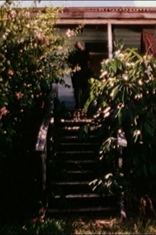 Movie poster for Grace (1998)