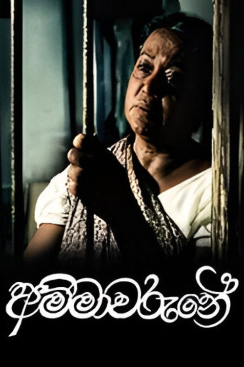 Movie poster for Elegy For A Mother (2006)