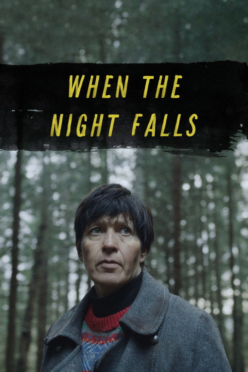 Movie poster for When the Night Falls (2022)