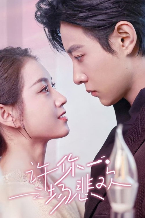 许你一场悲欢 poster