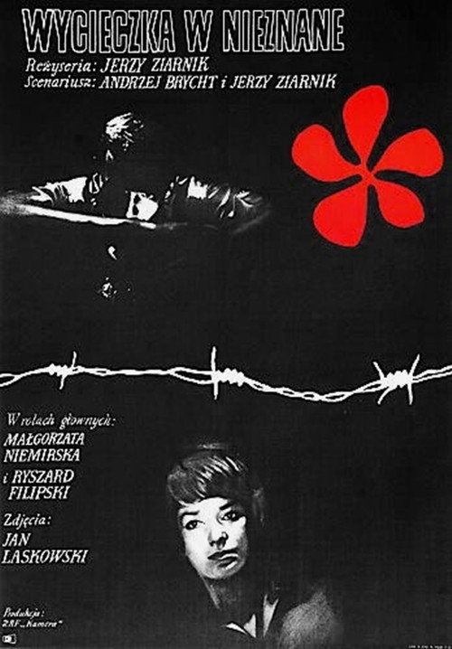 Movie poster for Wycieczka w nieznane (1968)