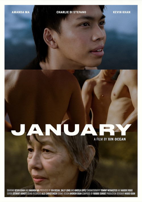 Movie poster for JANUARY (2025)