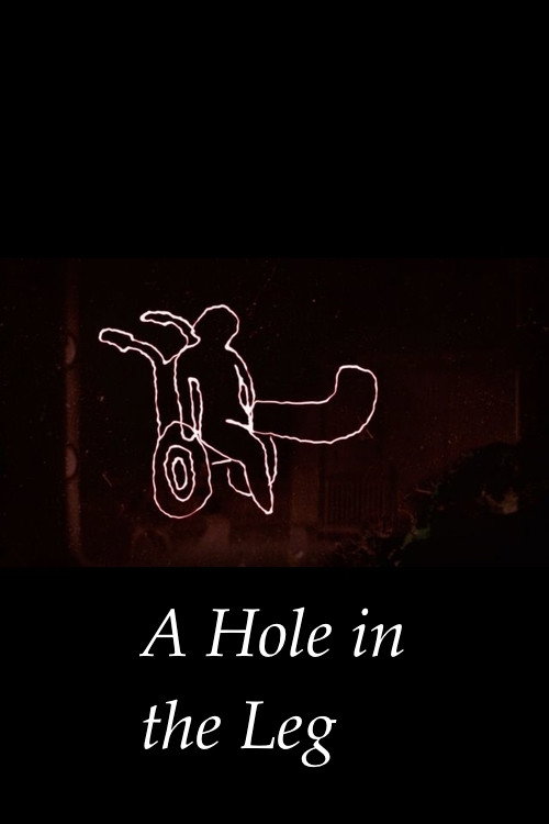 Movie poster for A Hole In The Leg (2017)