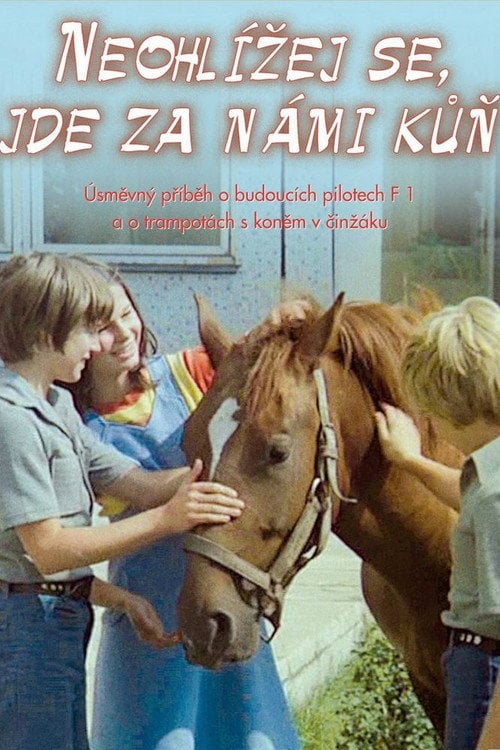 Movie poster for Don't Look Back, There Is a Horse Behind Us (1981)