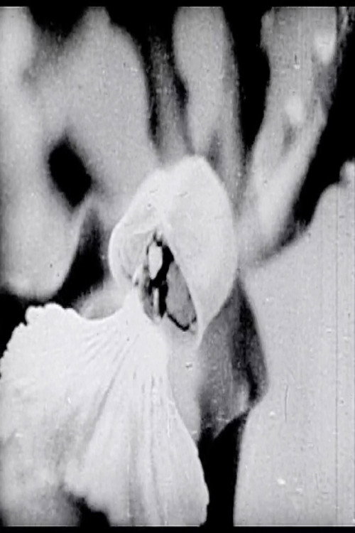 Movie poster for Floral Symphony (1936)