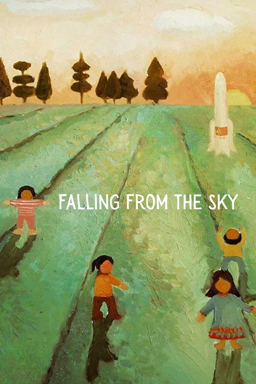 Movie poster for Falling From the Sky (2009)
