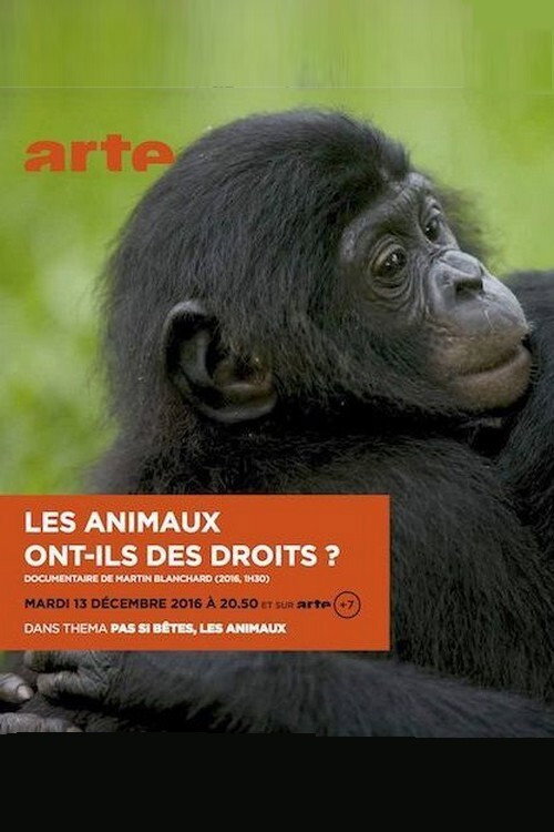 Movie poster for Les animaux ont ils des droits? (2016)